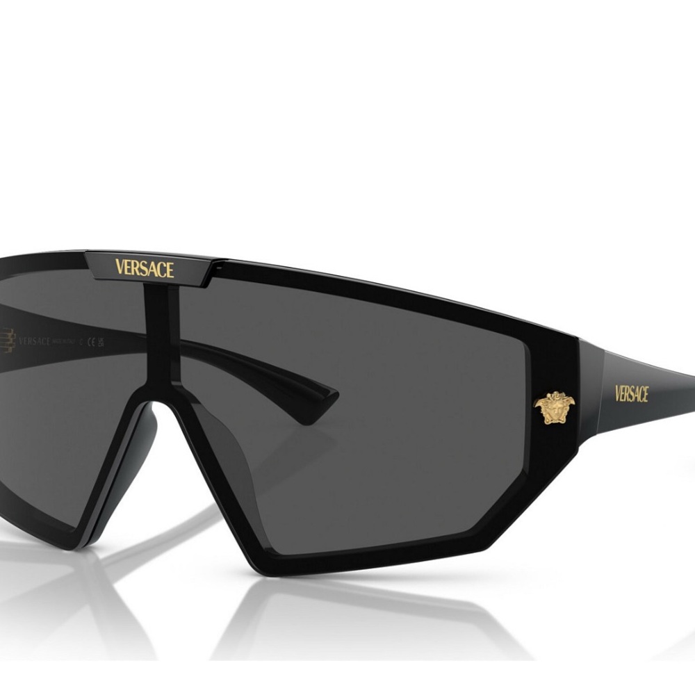 Unisex Versace Black Sunglasses with Gold Details